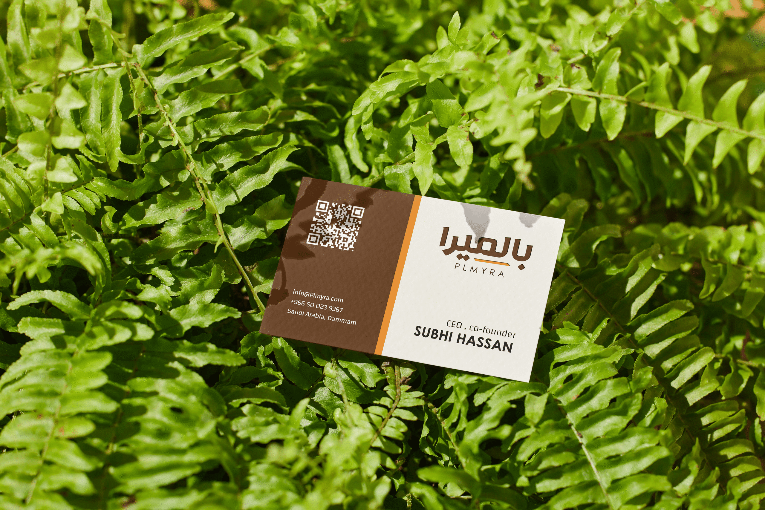 ebbd2e225037769.6818f2568a3a0